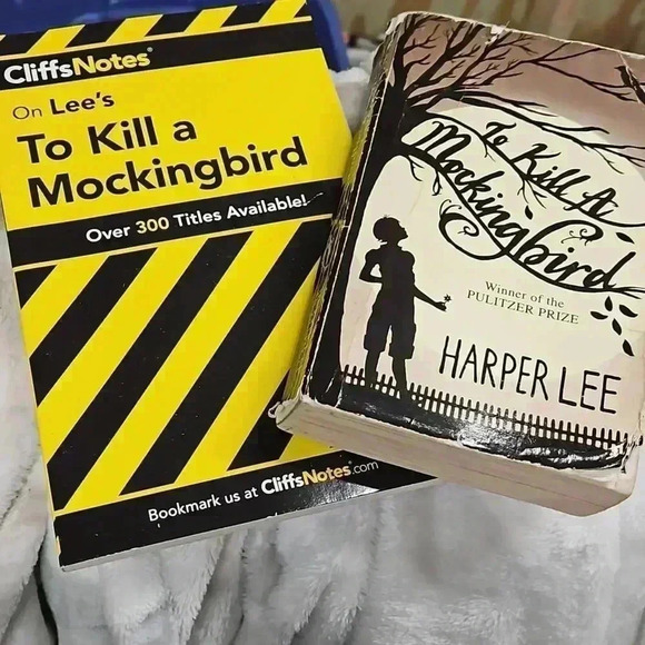 Other - To kill a Mockingbird​